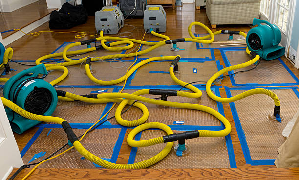Professional Water Damage Repair technician working in Leonardo, NJ